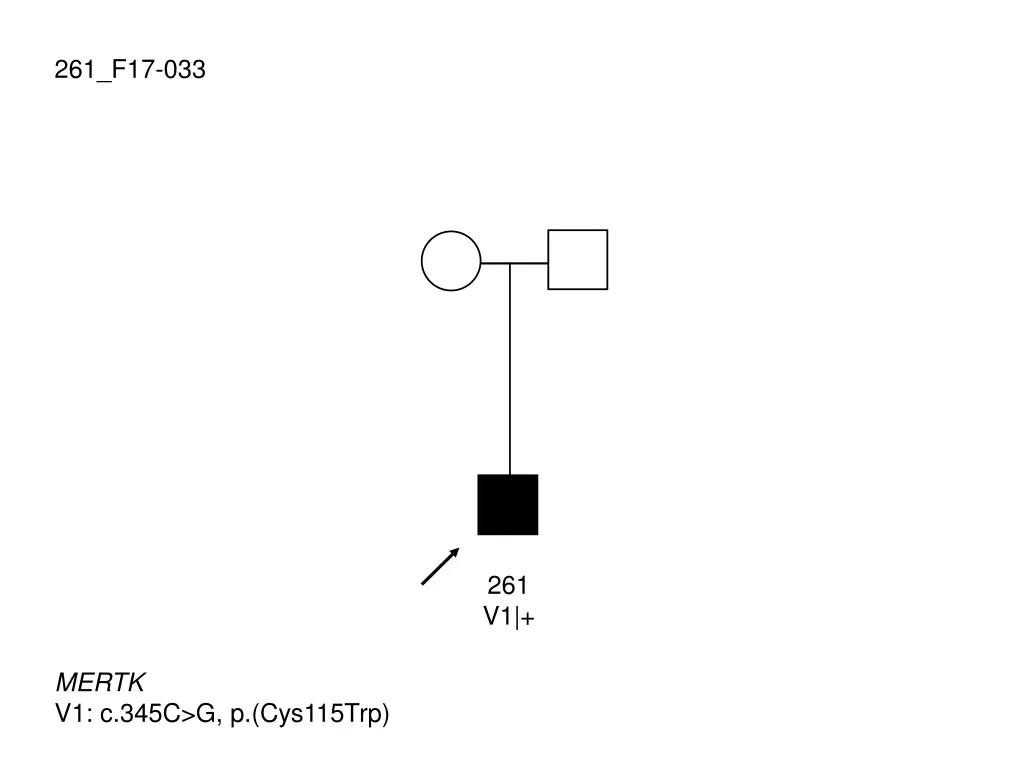 261 f17 033