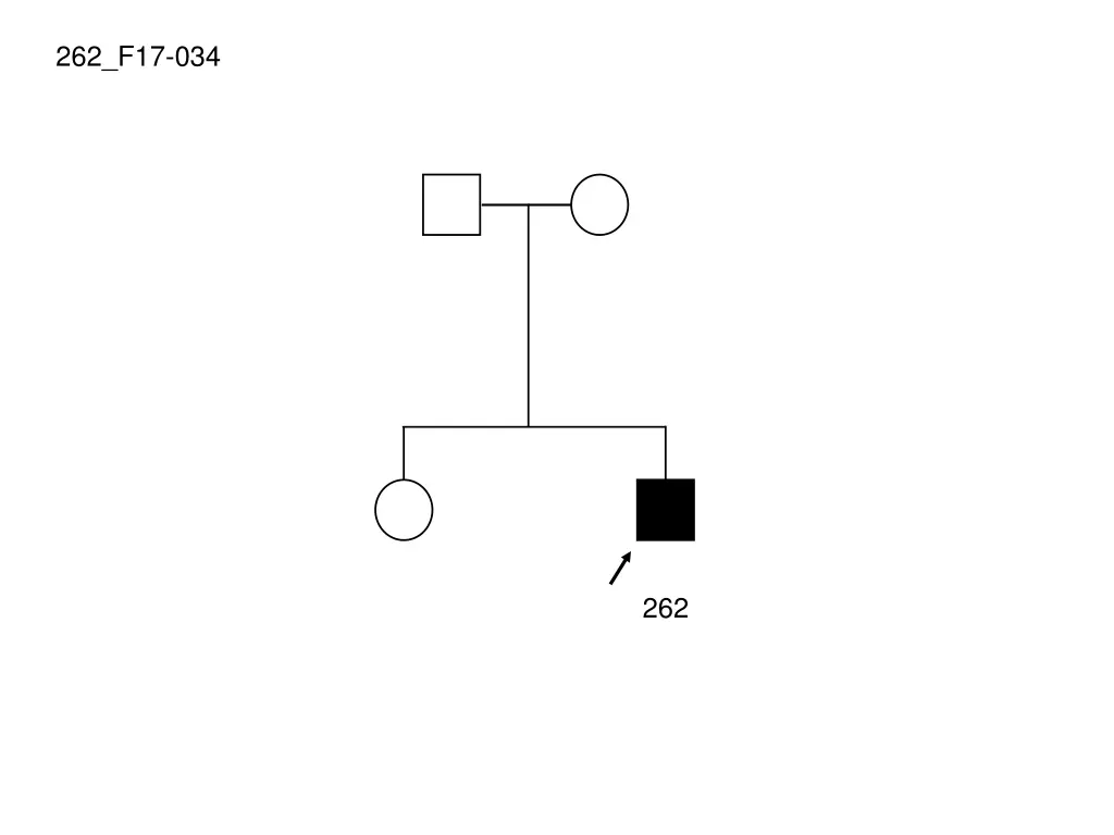 262 f17 034