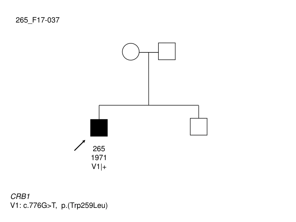 265 f17 037