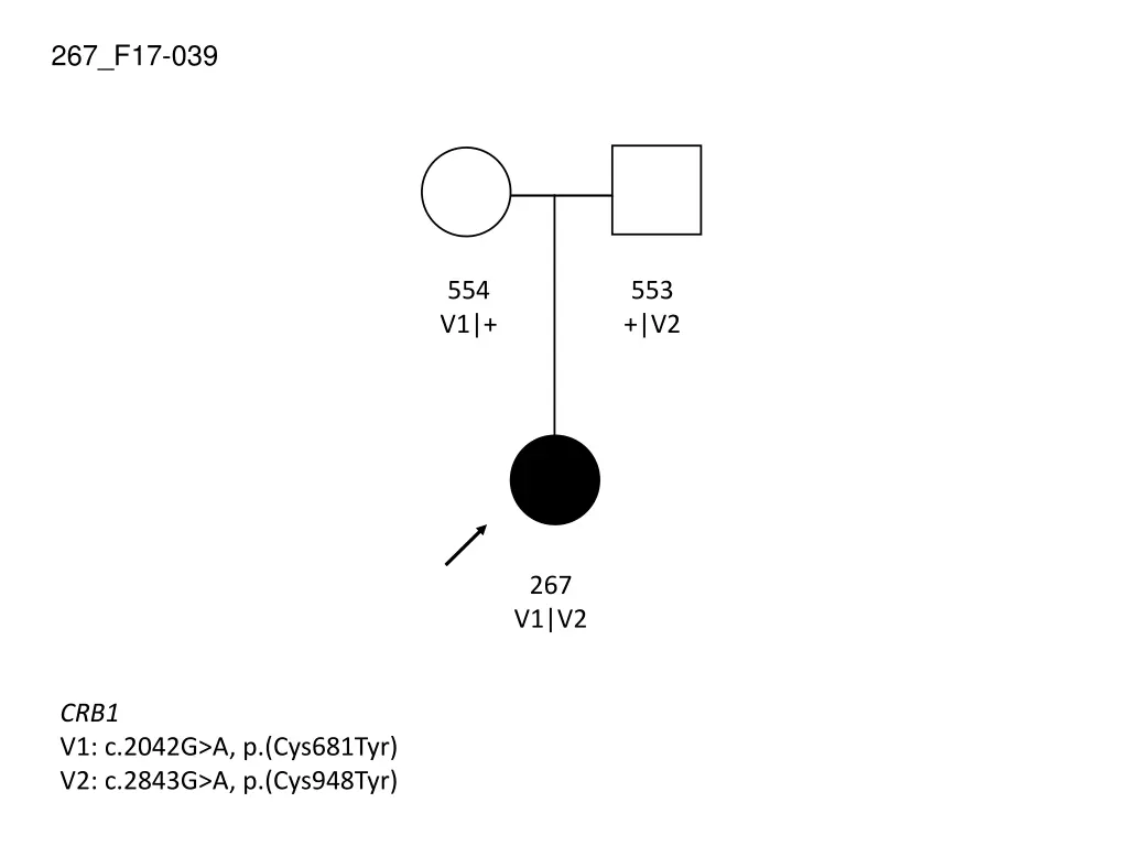 267 f17 039