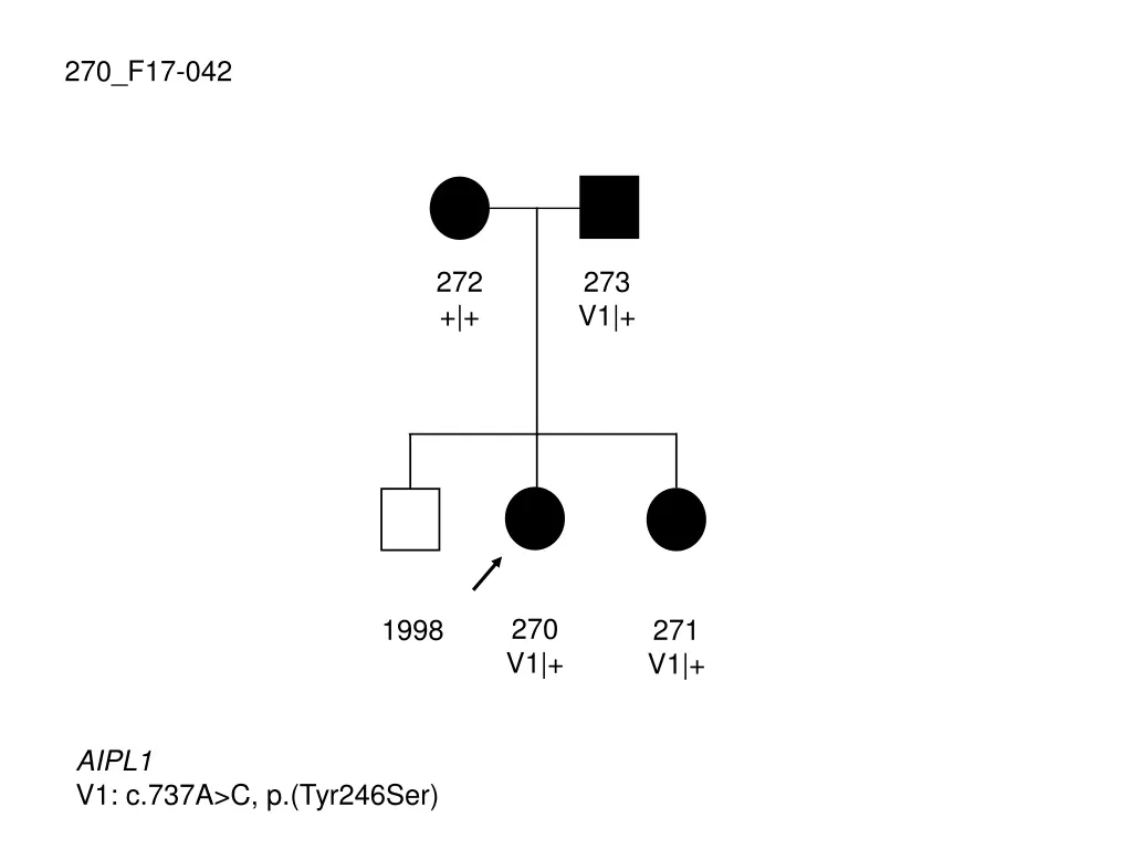270 f17 042