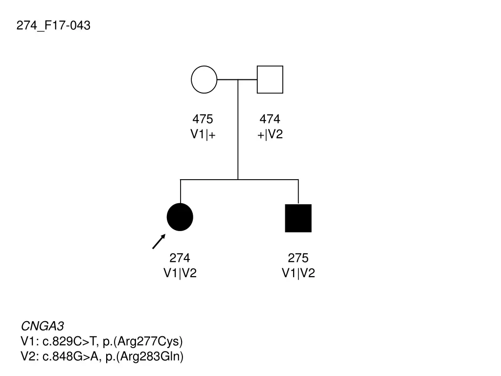 274 f17 043