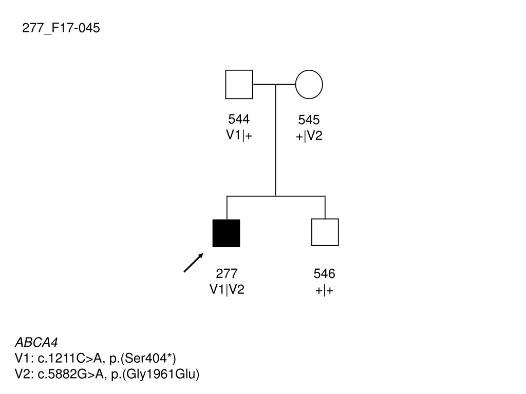 277 f17 045