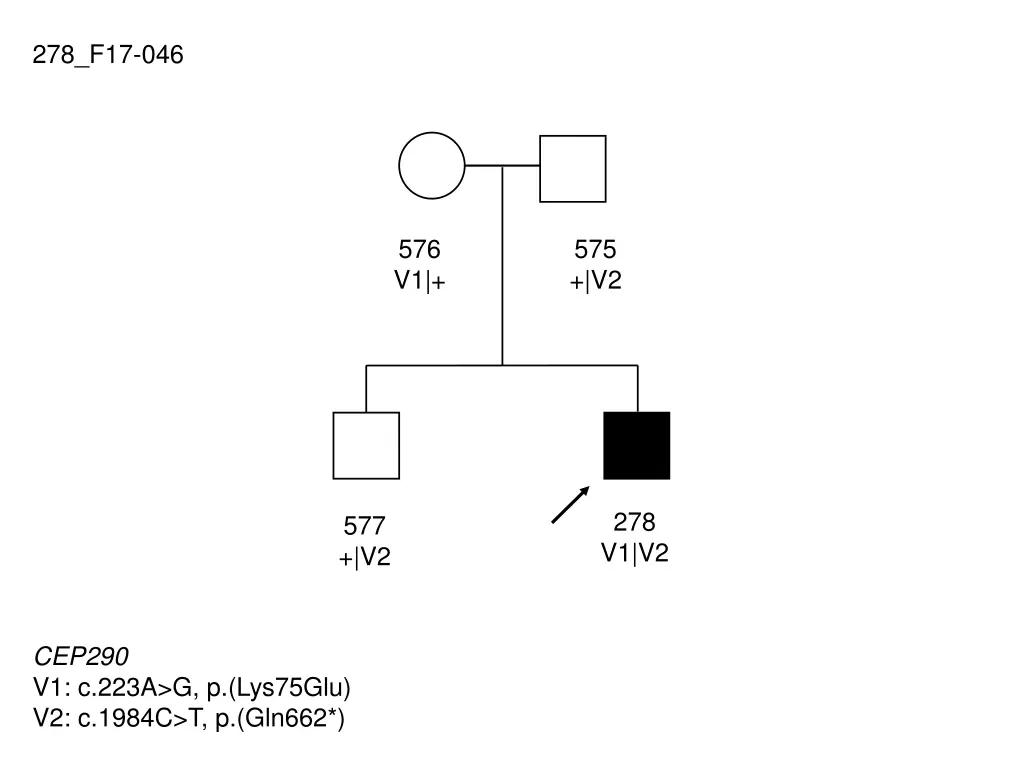 278 f17 046