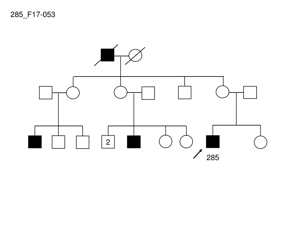 285 f17 053