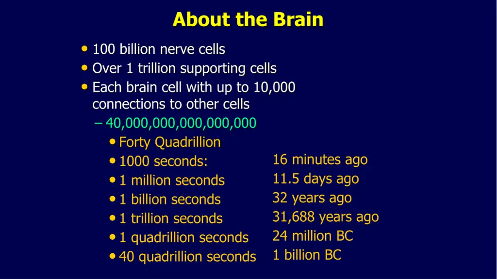 about the brain