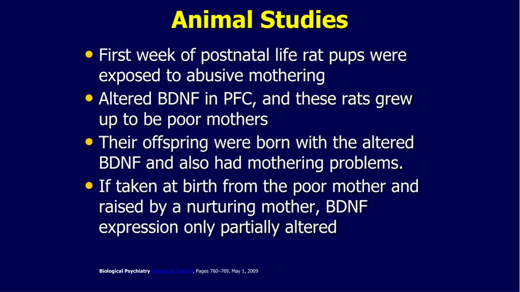 animal studies first week of postnatal life
