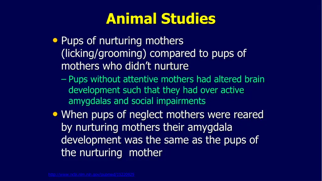 animal studies pups of nurturing mothers licking