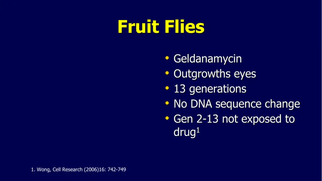 fruit flies
