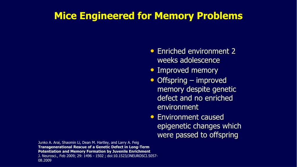 mice engineered for memory problems