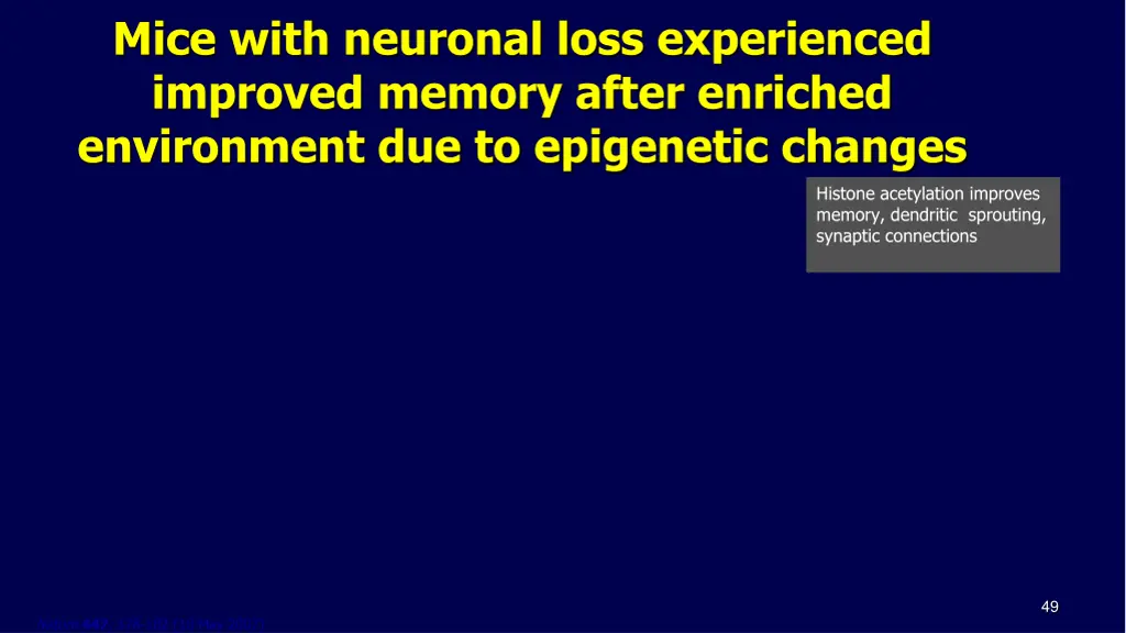 mice with neuronal loss experienced improved