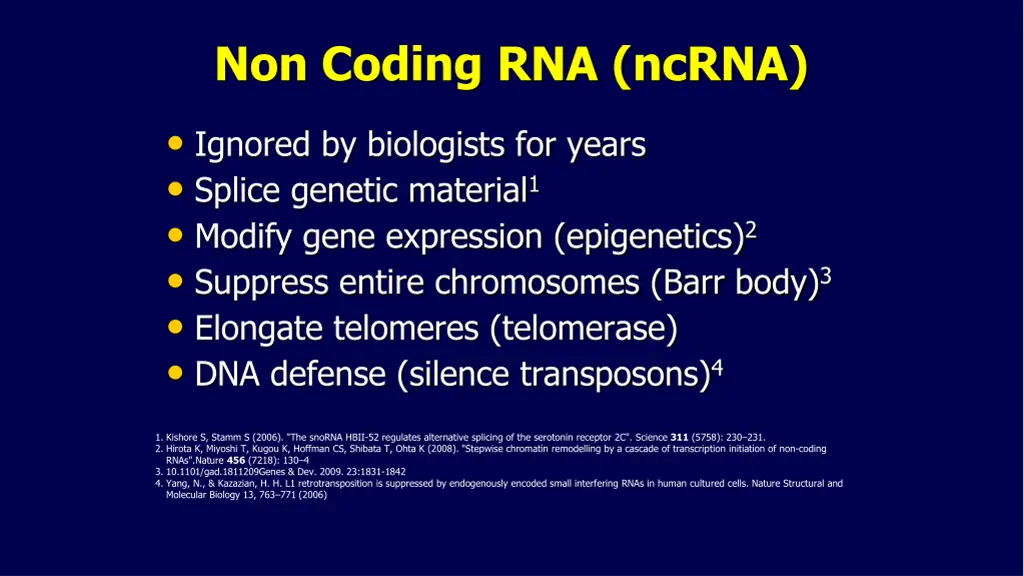non coding rna ncrna
