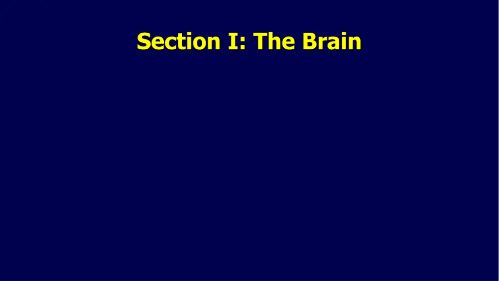 section i the brain