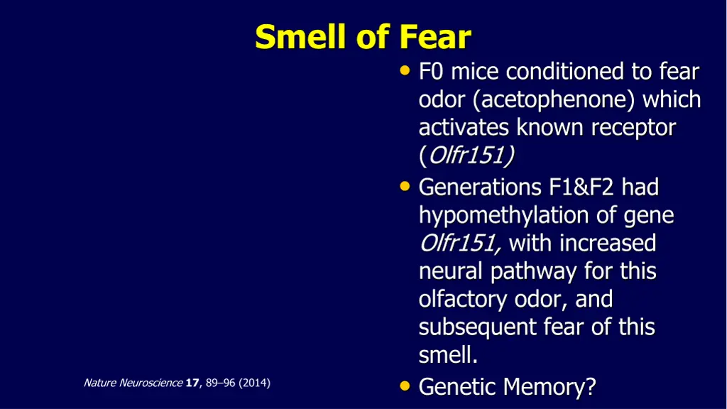 smell of fear