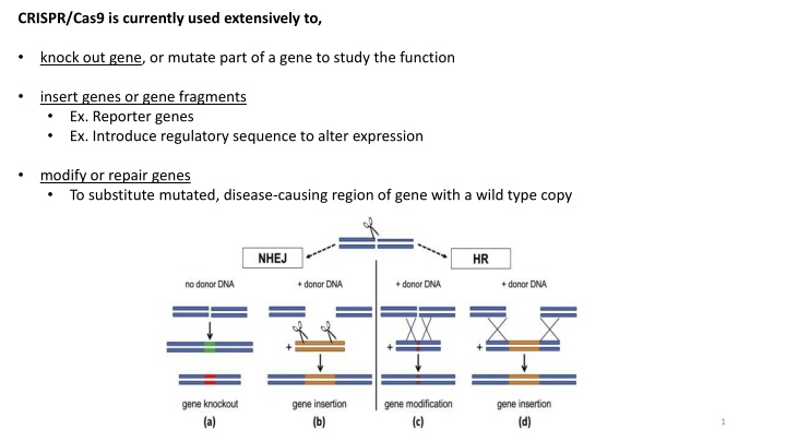 crispr cas9 is currently used extensively
