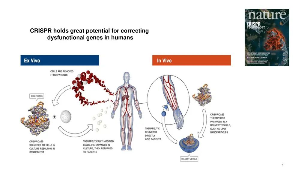 crispr holds great potential for correcting