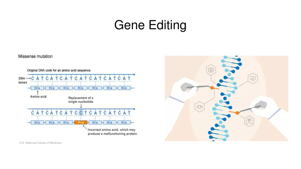 gene editing 1