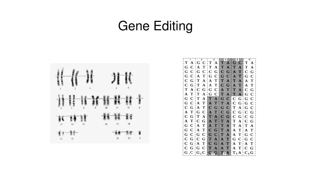gene editing