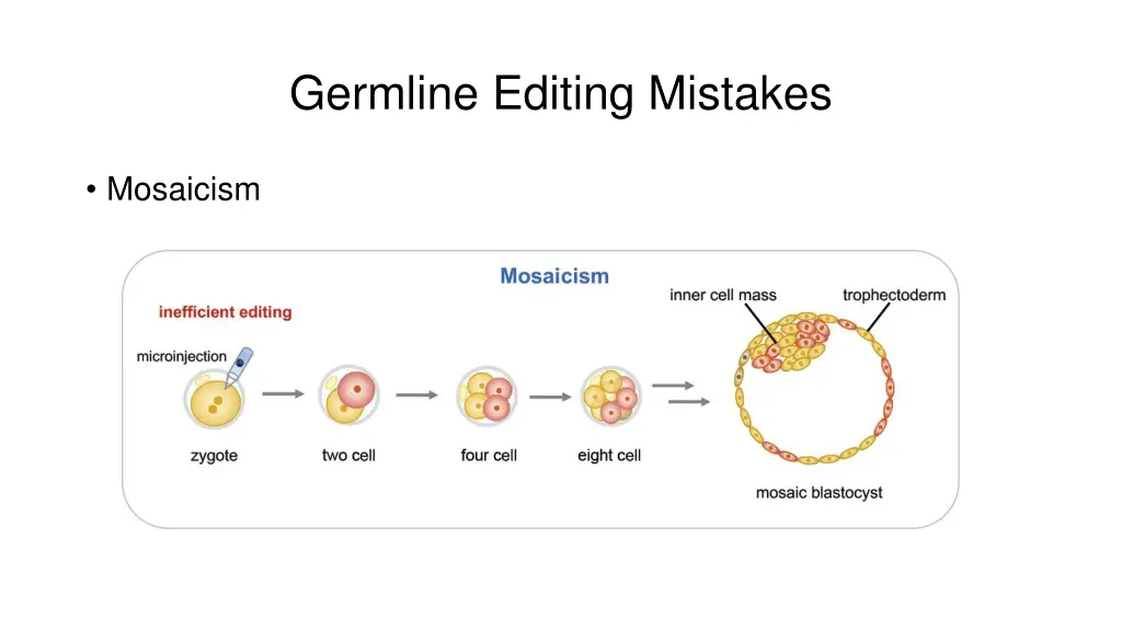 germline editing mistakes 1