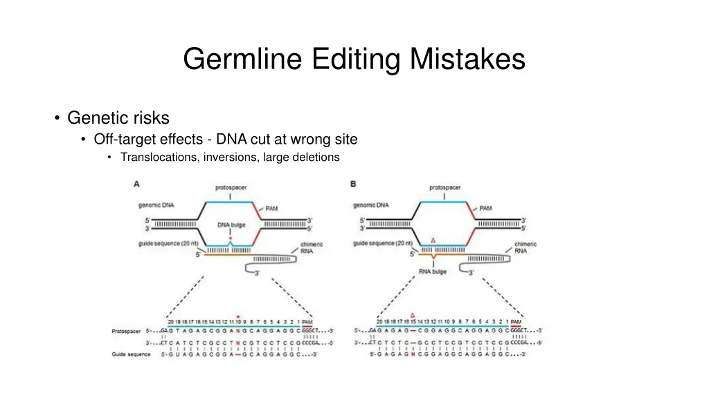 germline editing mistakes
