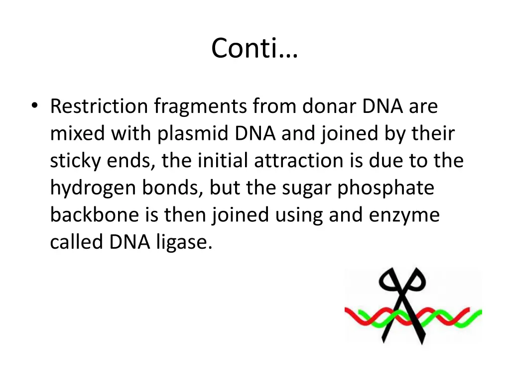 conti 1