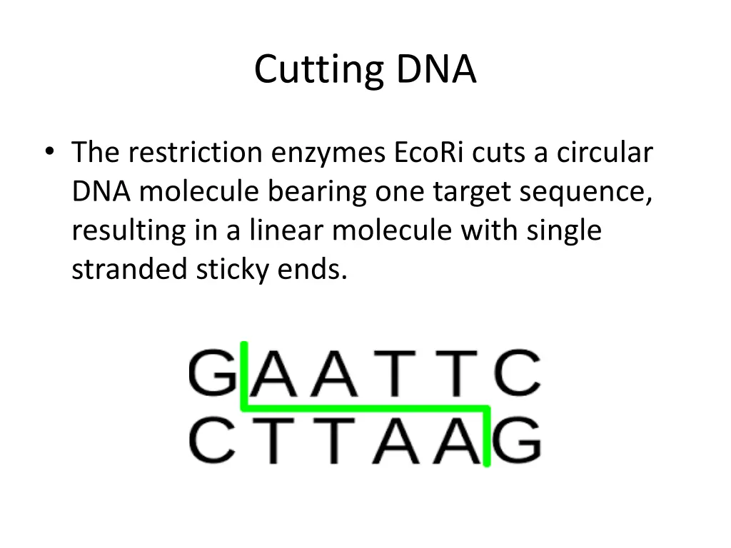 cutting dna