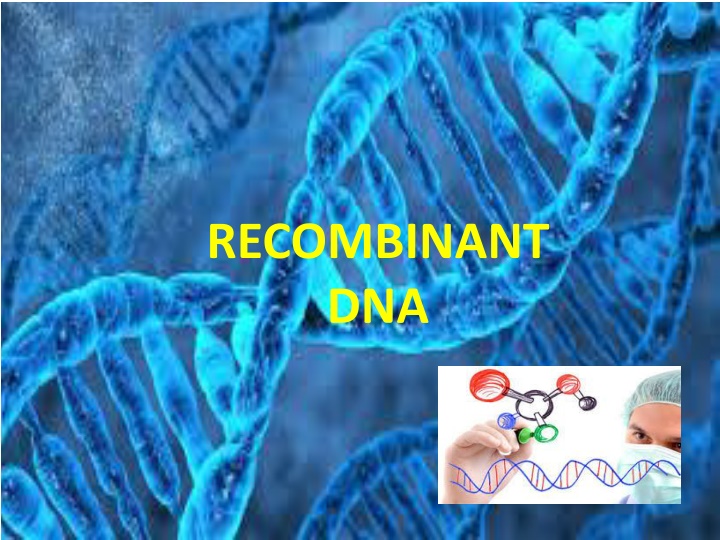 recombinant dna