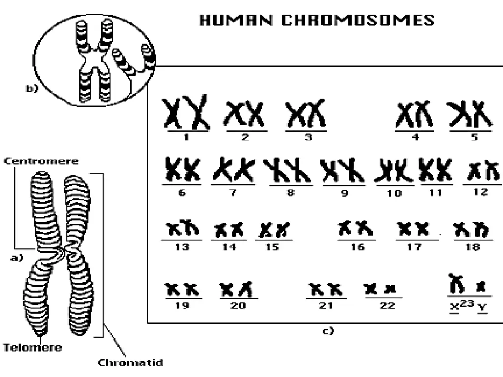 slide31