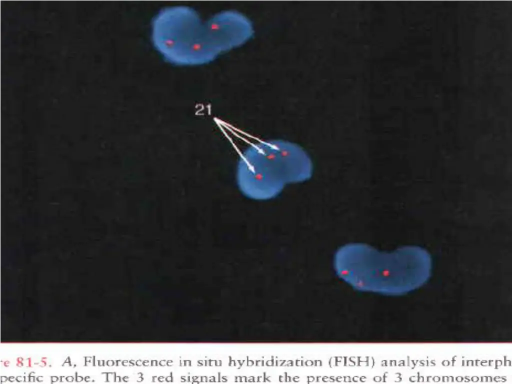 slide36