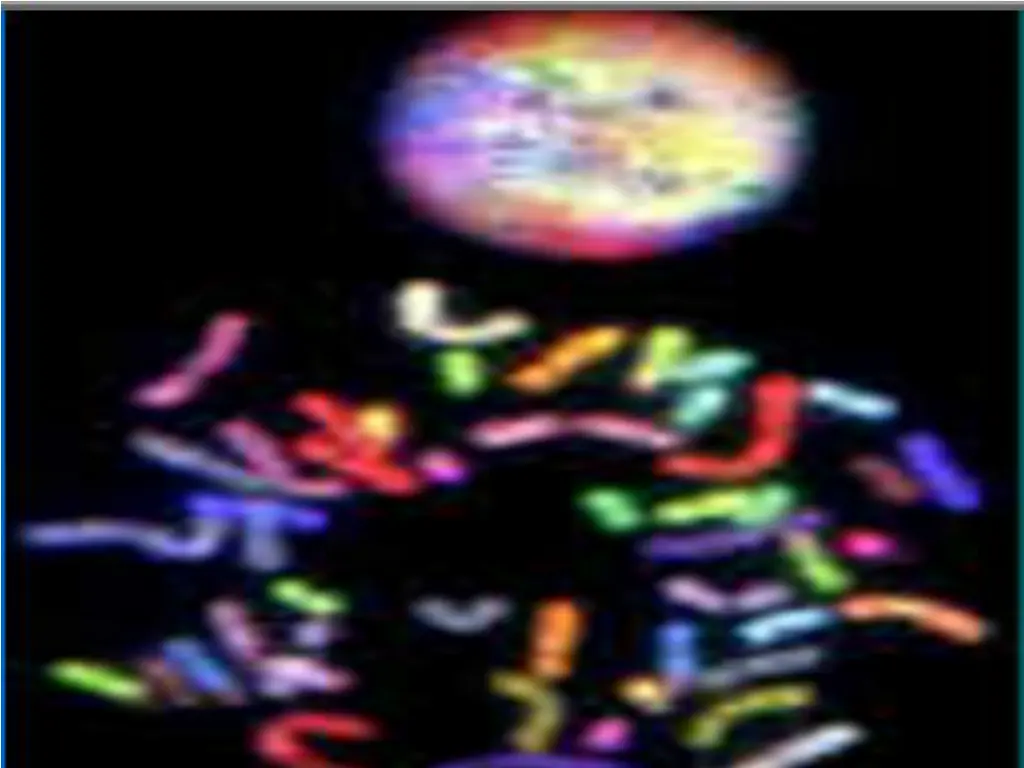 slide41
