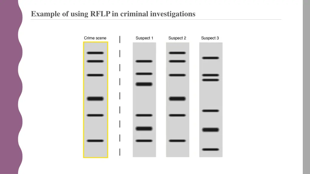 example of using rflp in criminal investigations