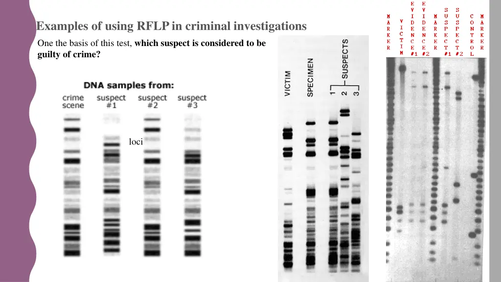 examples of using rflp in criminal investigations