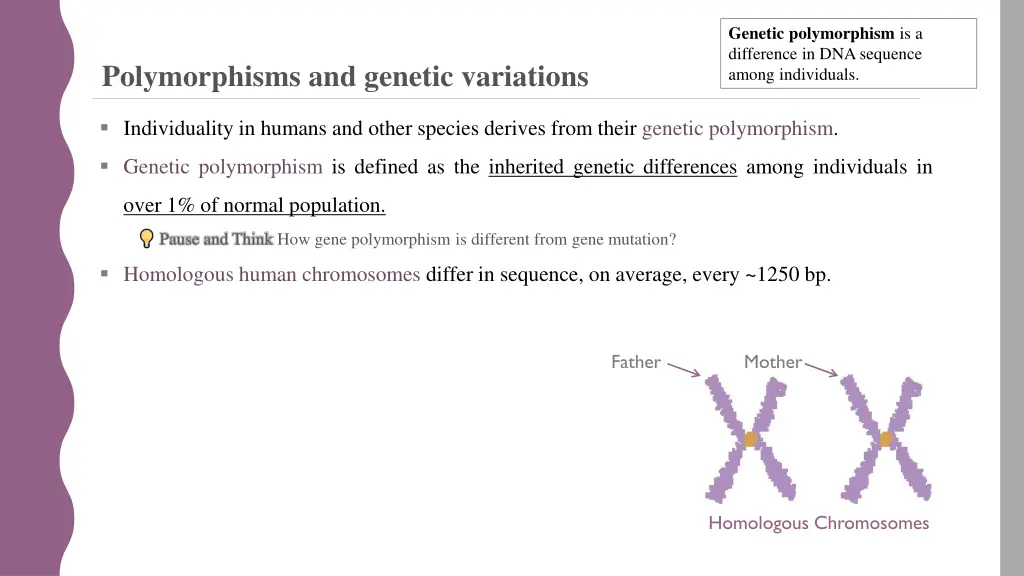 genetic polymorphism is a difference
