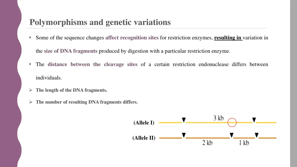 polymorphisms and genetic variations