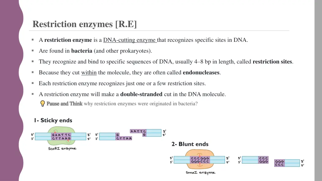restriction enzymes r e