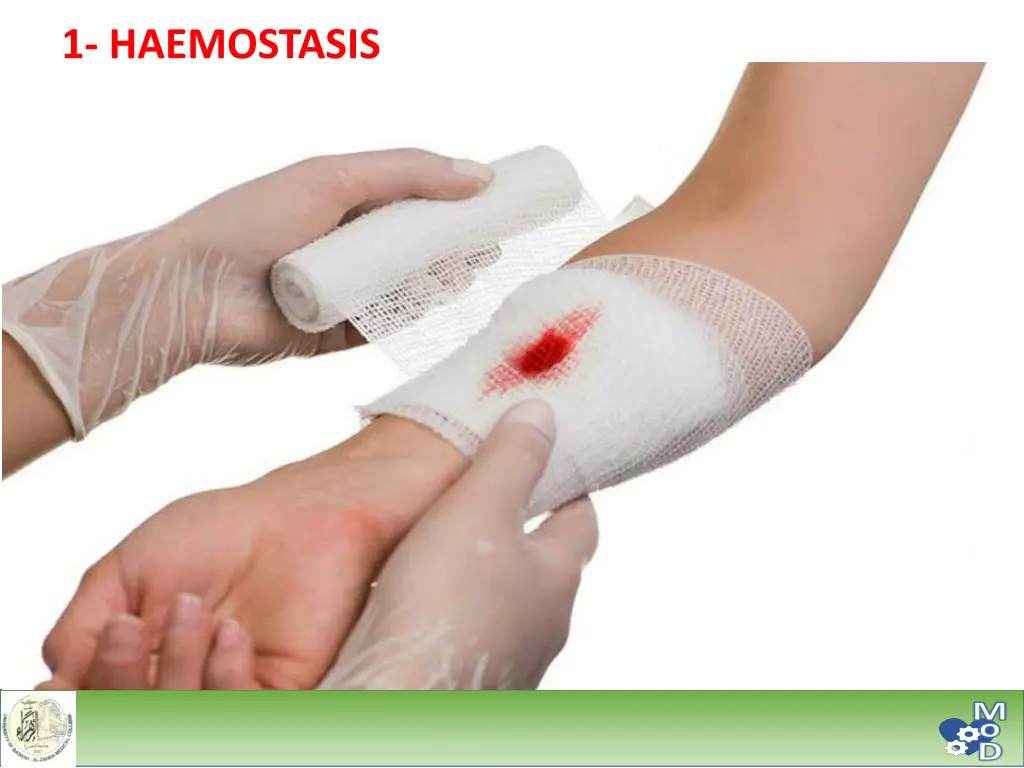 1 haemostasis 2