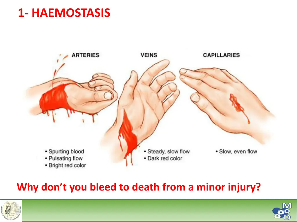 1 haemostasis