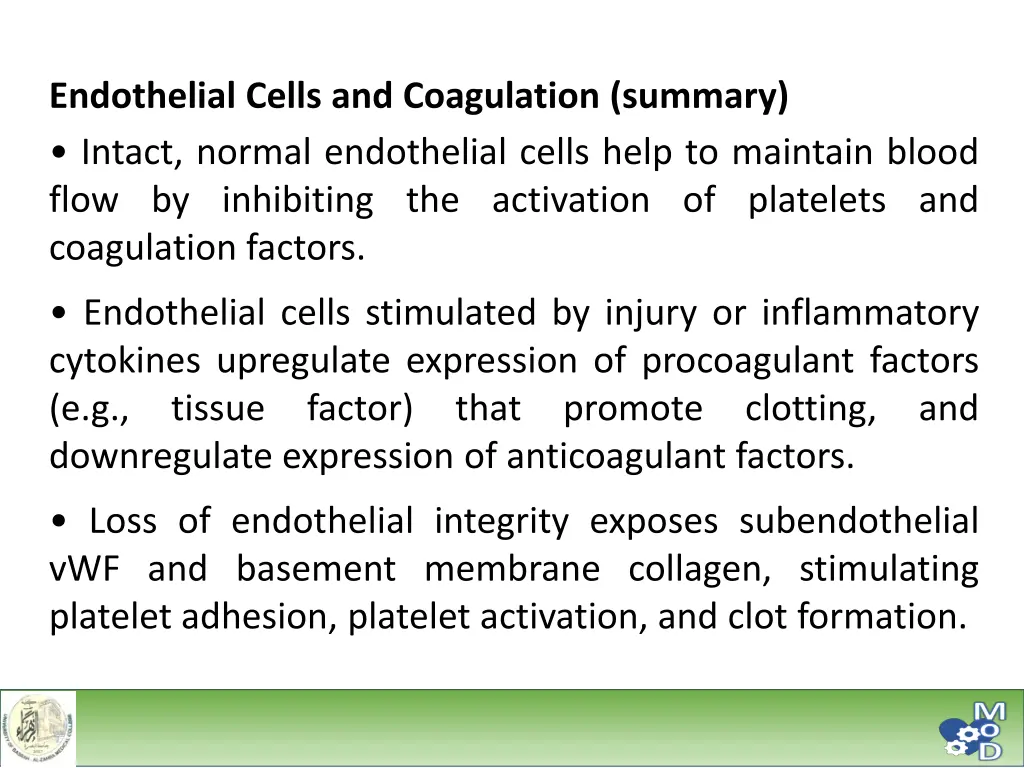 endothelial cells and coagulation summary intact