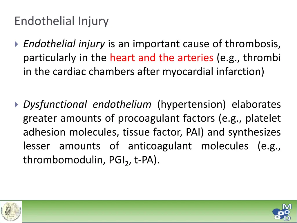 endothelial injury