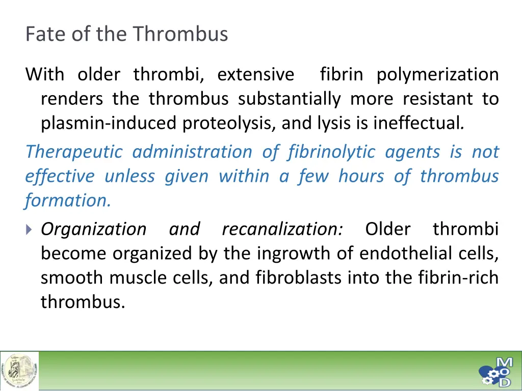 fate of the thrombus 2