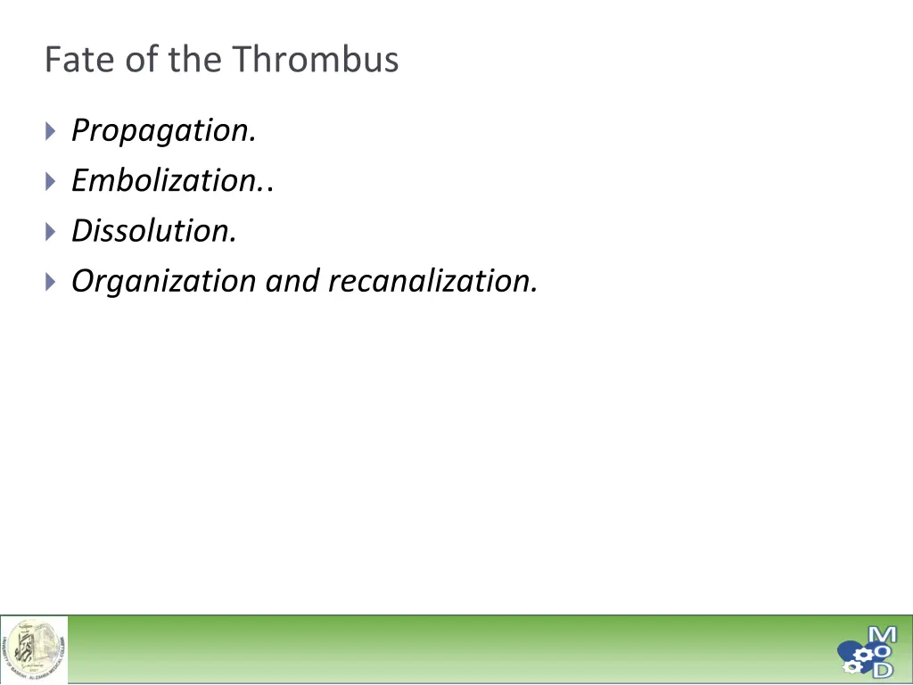 fate of the thrombus