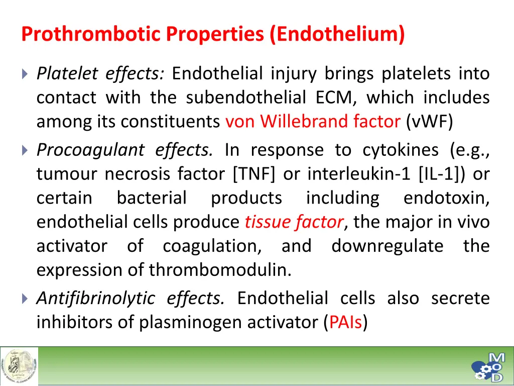 prothrombotic properties endothelium