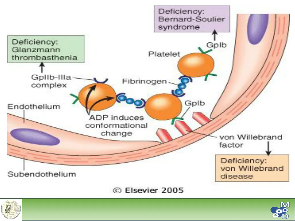 slide20