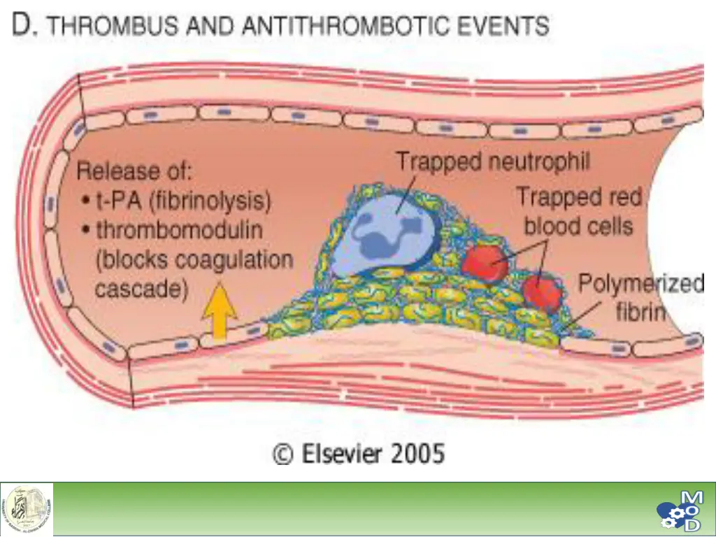 slide37