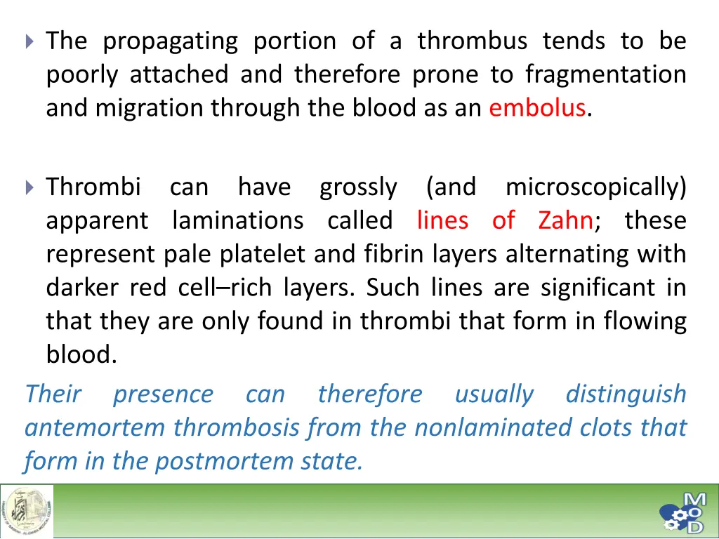 the propagating portion of a thrombus tends