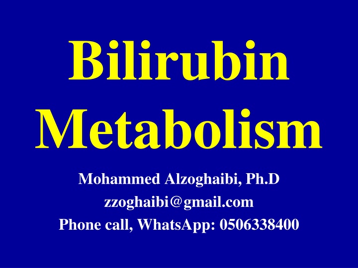 bilirubin metabolism
