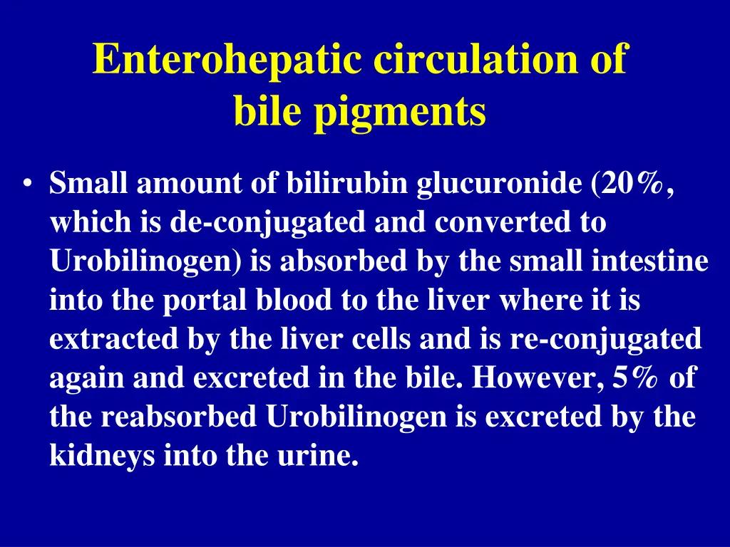enterohepatic circulation of bile pigments