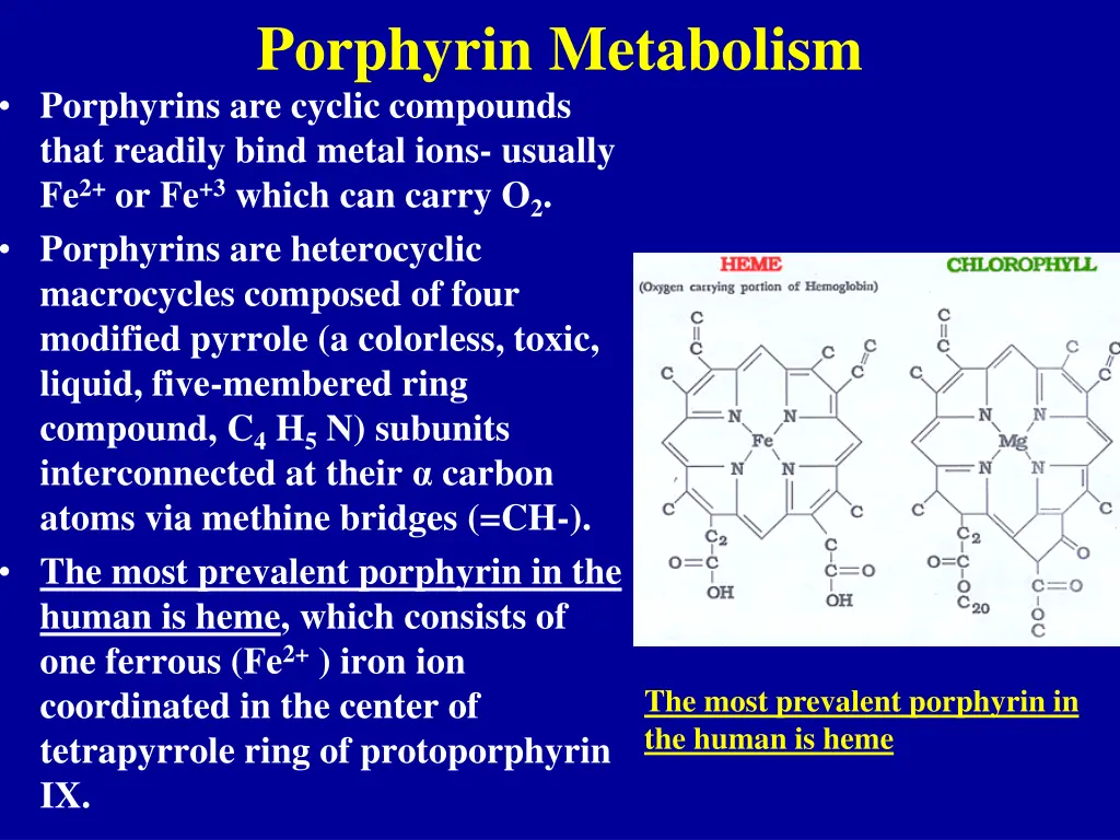 porphyrin metabolism porphyrins are cyclic