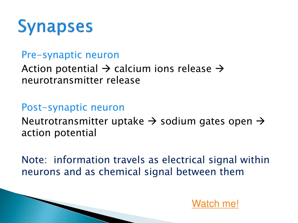 pre synaptic neuron action potential calcium ions