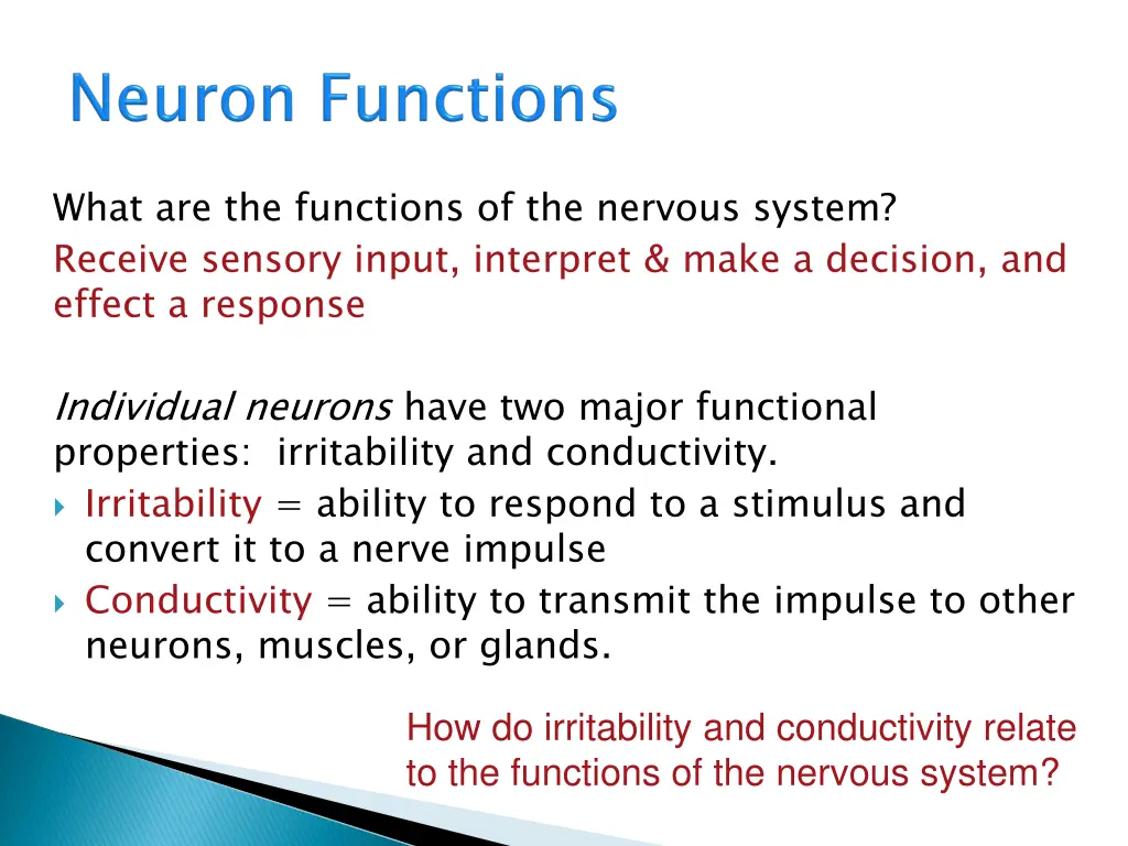 what are the functions of the nervous system